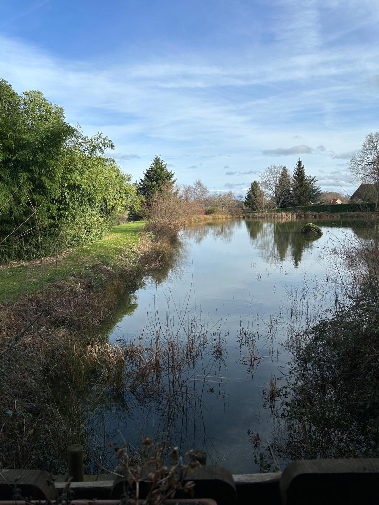 Le Domaine De La Vergnolle Roches  エクステリア 写真