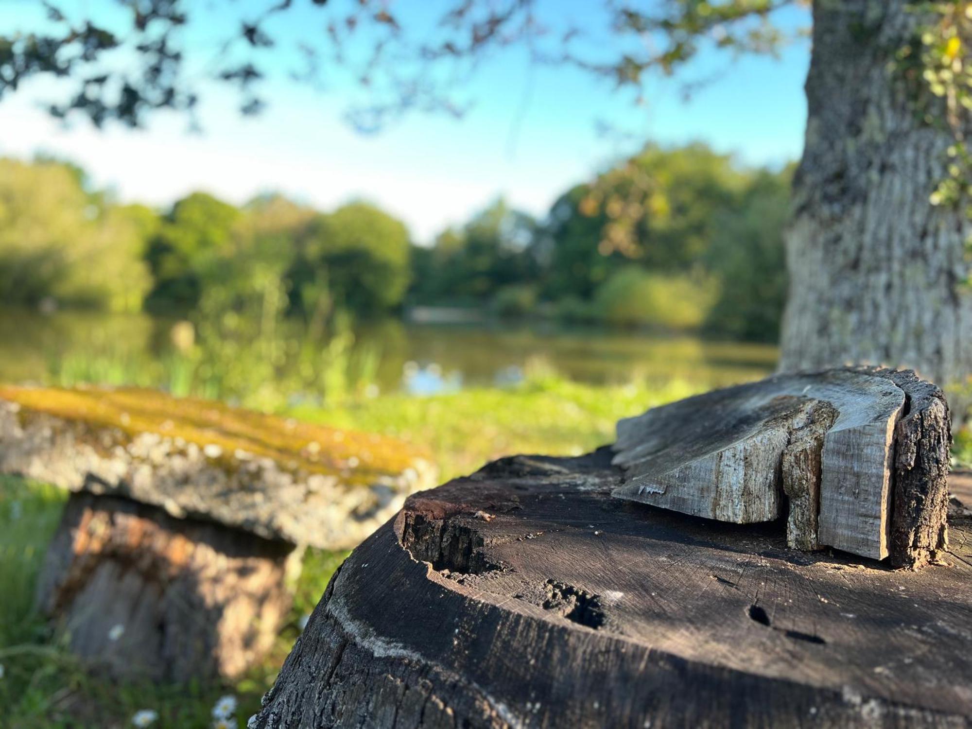 Le Domaine De La Vergnolle Roches  エクステリア 写真