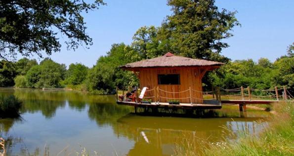 Le Domaine De La Vergnolle Roches  エクステリア 写真
