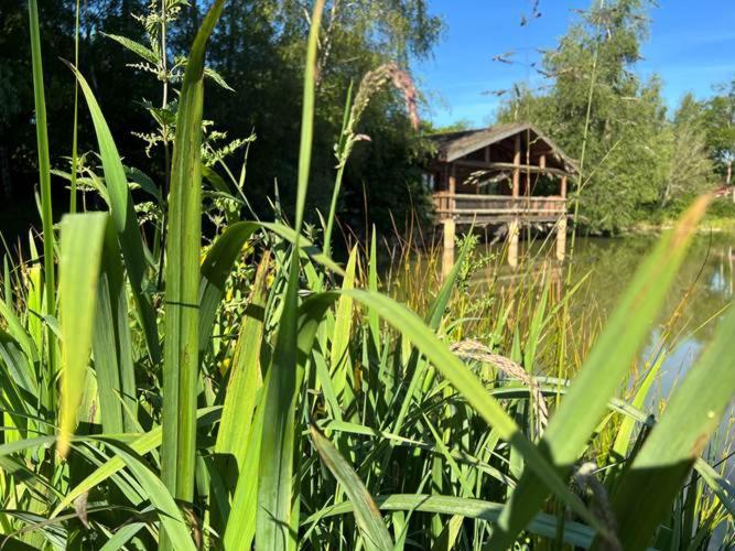 Le Domaine De La Vergnolle Roches  部屋 写真